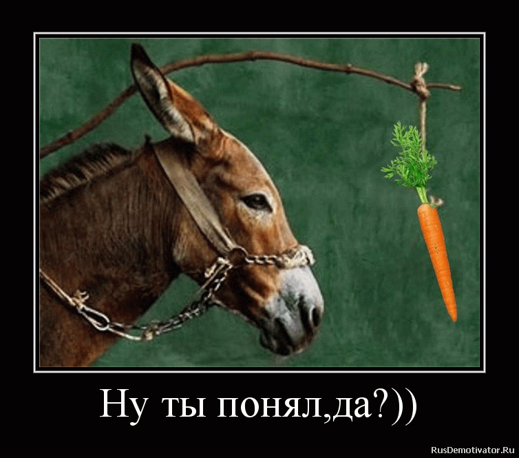 morkovka.gif