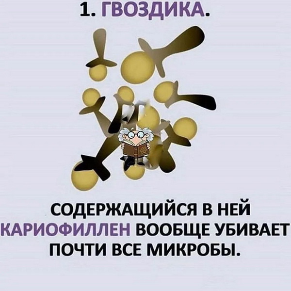 gvozdika22_новый размер.jpg