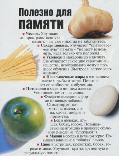 mozg_chesnok.jpg