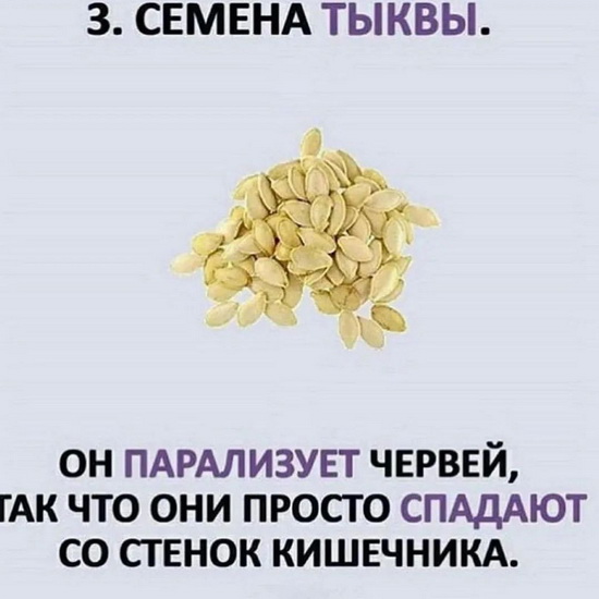 tykva_327_новый размер.jpg