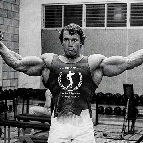 shvarc12_новый размер.jpg