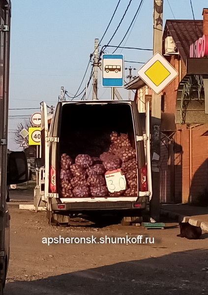 kartoshka2025-osen_новый размер.jpg