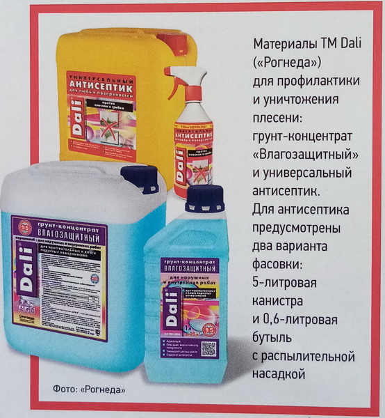 plesen2_новый размер.jpg