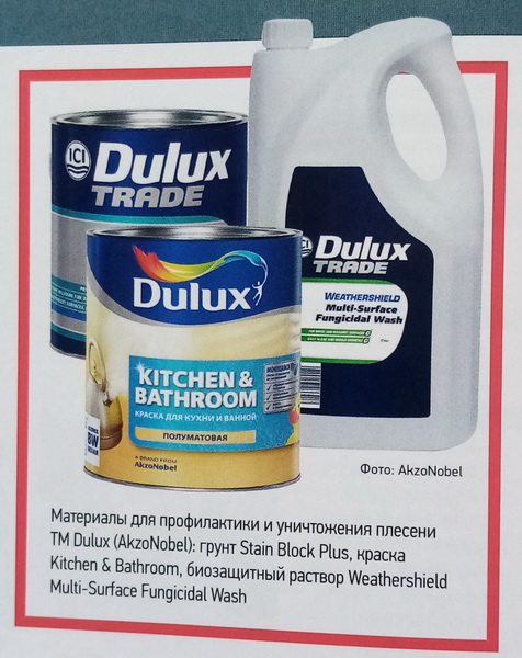 plesen3_новый размер.jpg