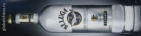 beluga21_новый размер.jpg