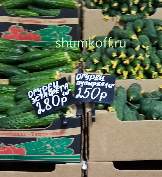 cucumbers_новый размер.jpg