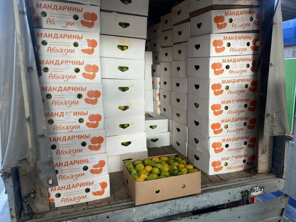 Mandarinas_новый размер.jpg