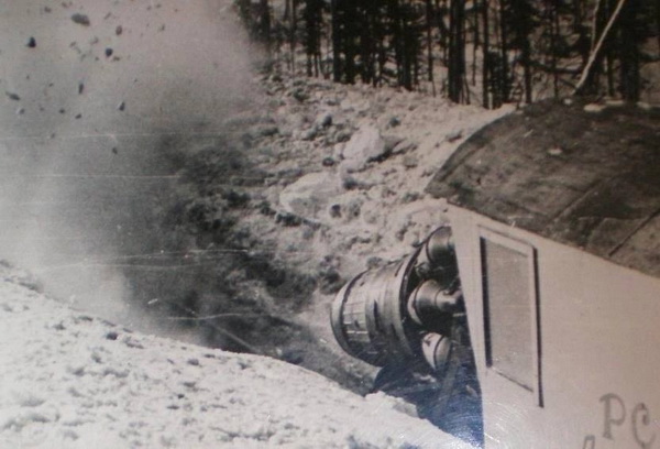 Temnolesskay1971_avia_новый размер.jpg