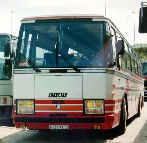 FIAT_Bus.jpg
