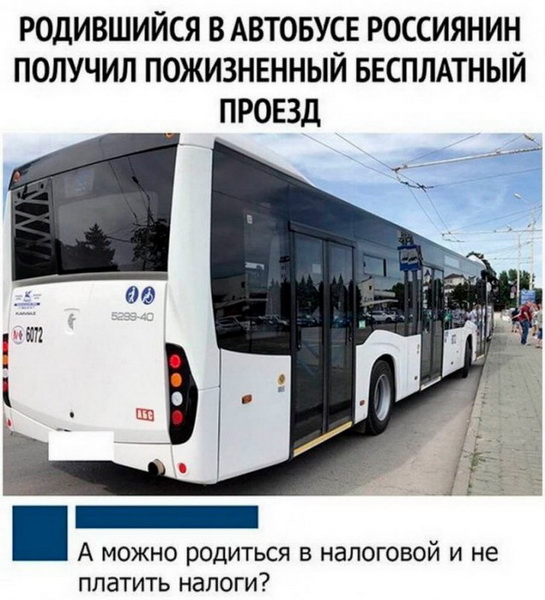 bus21.jpg