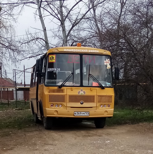 SchoolBus.jpg